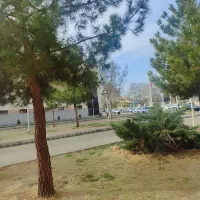 قطعه زمین مسکونی