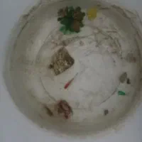 ماهی ششمیری و ماهی گوپ