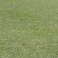 کیف مدارک گمشده