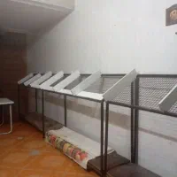 فروش بساط میوه فروشی .