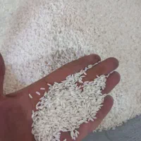برنج لنجان