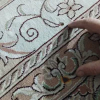 فرش ۱۲ متری گردویی|فرش|بابلسر, |دیوار