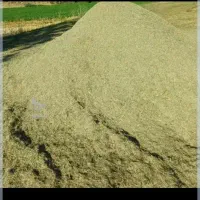 علف خرمانکوب شدن