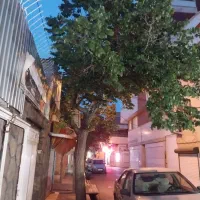 زمین-جمکران-پلاک-547