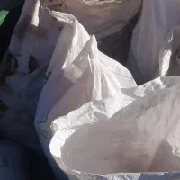 گندم قیمت مناسب تمیز بذردیم آماده کشت|لوازم جانبی حیوانات|چنگ الماسی, |دیوار