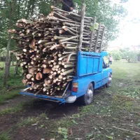 خریدار چوب و درختان|خدمات باغبانی و درختکاری|بندر انزلی, کارآموزی|دیوار