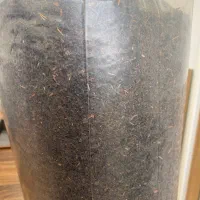 چای محلی لاهیجان