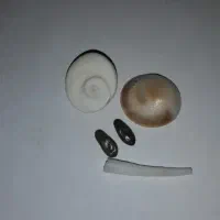 سنگ مار تضمینی