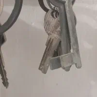گمشده دسته کلید