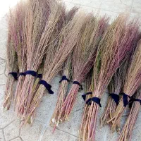 جارو شهرداری