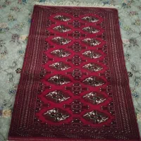 فرش|فرش|گنبد کاووس, |دیوار