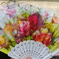 بادبزن بسیارزیبا وعمده