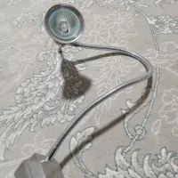 هالوژن پایه خرطومی
