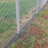 نصب فنس دور باغم با کلیه لوازم|خدمات باغبانی و درختکاری|قروه, |دیوار