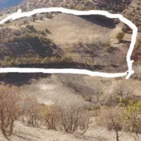 فروش زمین کشاورزی