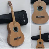 گیتار کلاسیک