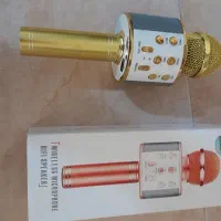 میکروفن اسپیکردار فلش خور