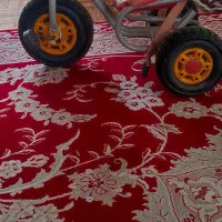 دوچرخه واسه چرخه|دوچرخه، اسکیت، اسکوتر|لوشان, |دیوار