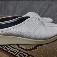 دمپایی طبی|کیف، کفش، کمربند|کرج, خرمدشت|دیوار