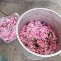 انواع عرقیات|آرایشی، بهداشتی، درمانی|صحنه, |دیوار