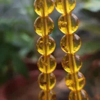 تسبیح پودرکهربا حشره دار