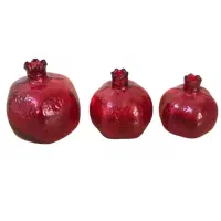 انار تزئینی