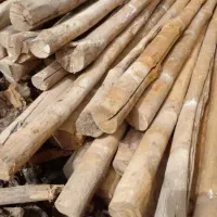 خرید انواع چوب|خدمات باغبانی و درختکاری|باسمنج, |دیوار