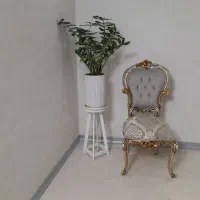 گلدان گل زامفولیا هلندی