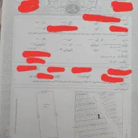 زمین-جنوبی-سند-6دانگ-عرصه-وعیان