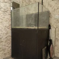 آکواریوم آب شور