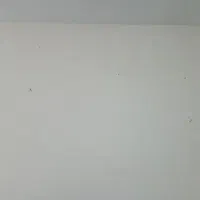 هم خونه فقط خانم|فعالیت داوطلبانه|ماهدشت, |دیوار