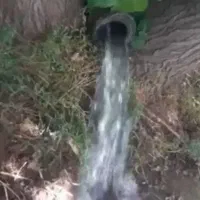 باغ گردو ومیوه پل چهر روبروی باربری نوروزی