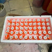 اسپلینکر آتش نشانی