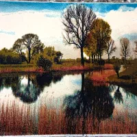 فروش ویژه انواع تابلو فرش