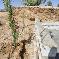 فروش زمین ۱۰۰۰ متری پل زمانخان|فروش زمین و ملک کلنگی|اصفهان, تیران|دیوار