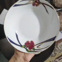 ظروف چینی آکبند