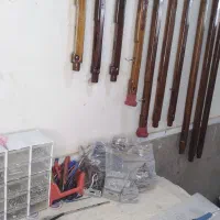 نیزه شیاری و شارکی غواصی|غواصی و ورزشهای آبی|بندر کنگان, |دیوار