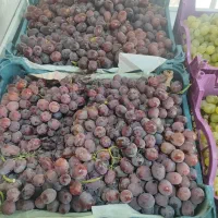 میوه و تره بار فروشگاه مواد غذایی