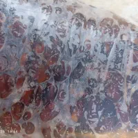 خرما نایلونی و گالنی مضافتی