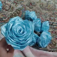 باکس رز ربانی