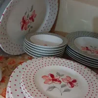 چینی زرین