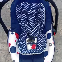 کالسکه ،کریر و روروئک دلیجان کاملا سالم