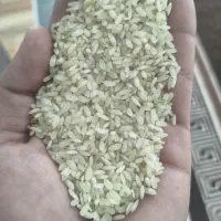 برنج کامفیروزی|خوردنی و آشامیدنی|شیراز, ده پیاله|دیوار