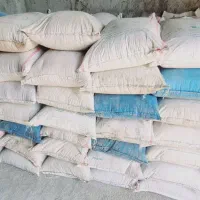 گندم  رقم احسان  بوجاری شده