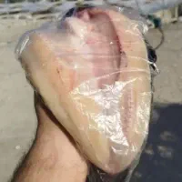 ماهی غزل پاک شده