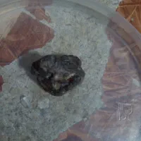 شهاب سنگ|جواهرات|گناباد, |دیوار