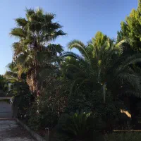 تهاتر-ویلا-بابلسر-با-اپارتمان-میگون-الباقی-نقدمیدم