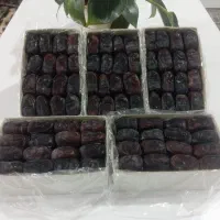 خرما مضافتی رقابتی