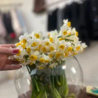 استخدام مژه کار و ناخنکار