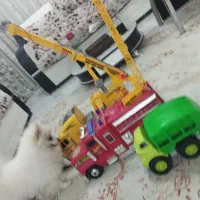 اسباب بازی ماشین جرثقیل ، آتش نشانی و حمل زباله